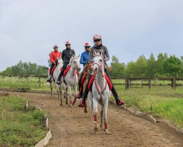 صورة الخبر