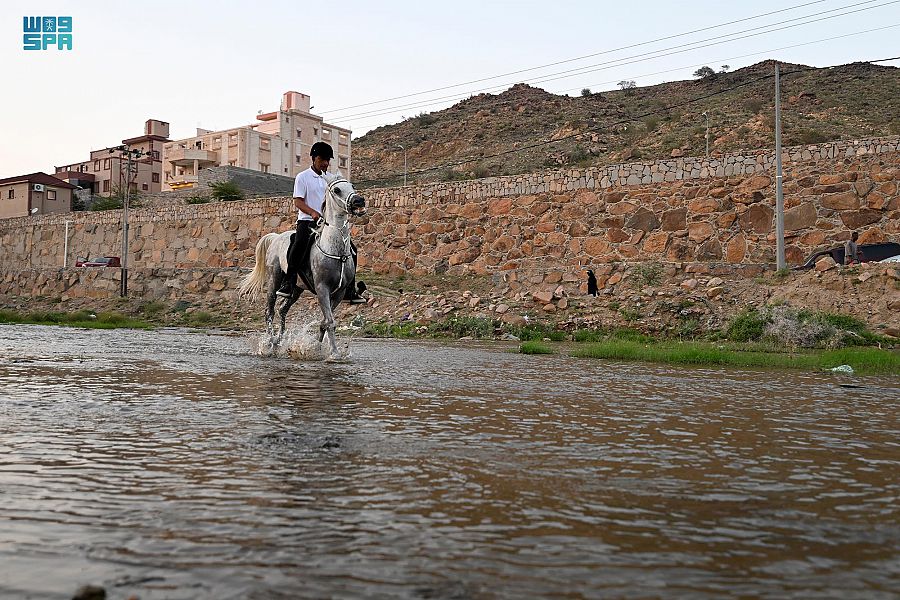 صورة الخبر