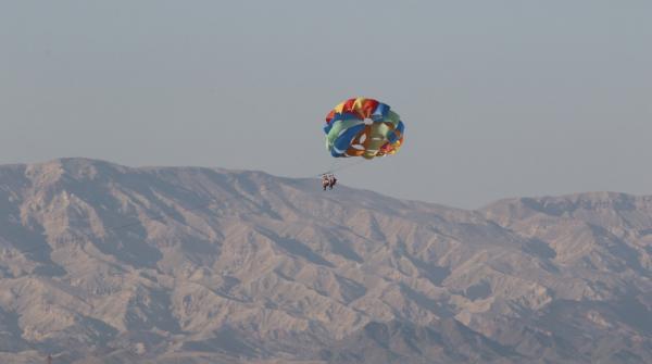 صورة الخبر