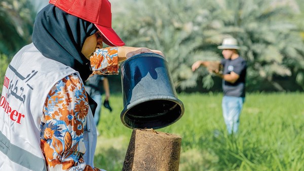 صورة الخبر