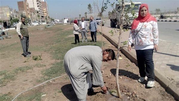 صورة الخبر