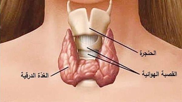 صورة الخبر