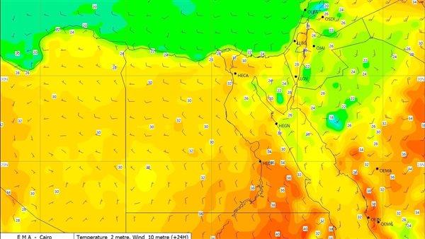 صورة الخبر