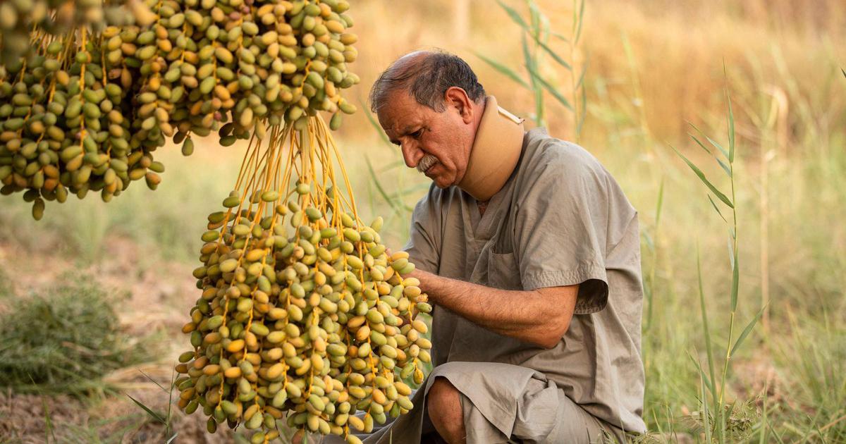 صورة الخبر