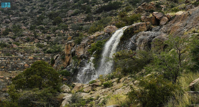 صورة الخبر