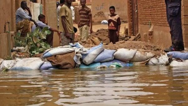 صورة الخبر