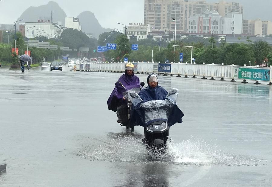 صورة الخبر