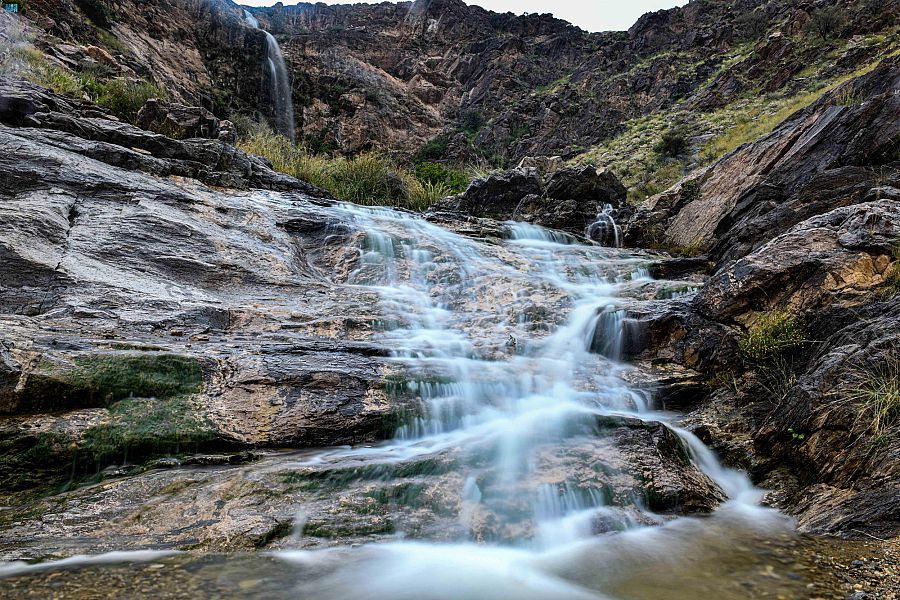 صورة الخبر