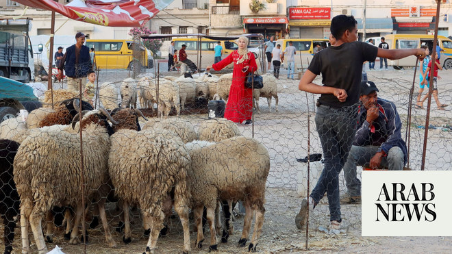 صورة الخبر