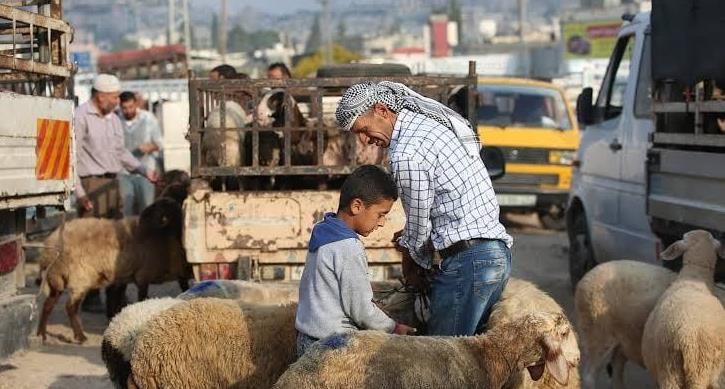 صورة الخبر