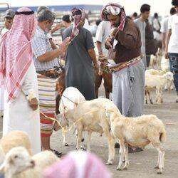 صورة الخبر