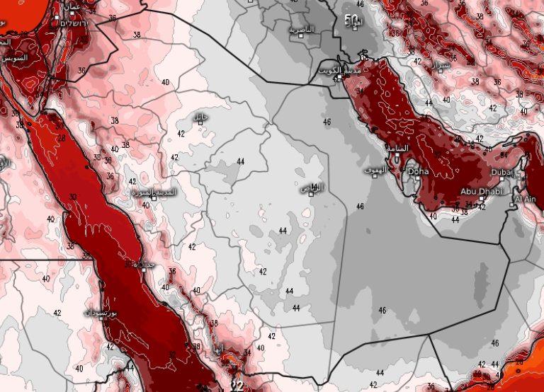 صورة الخبر