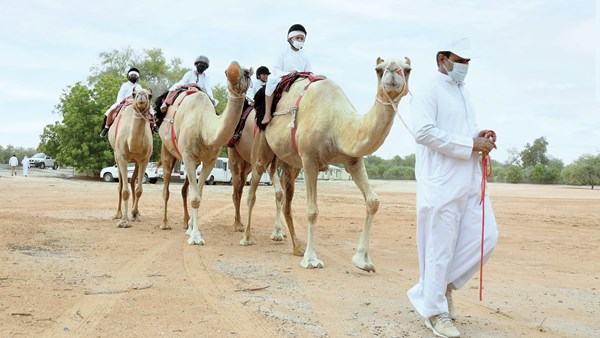 صورة الخبر