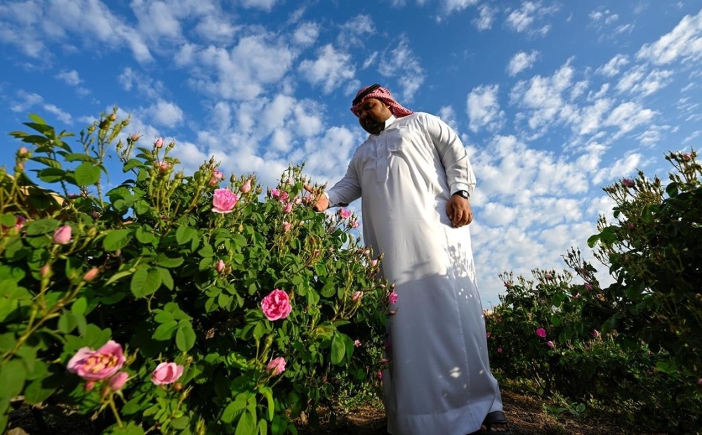 صورة الخبر