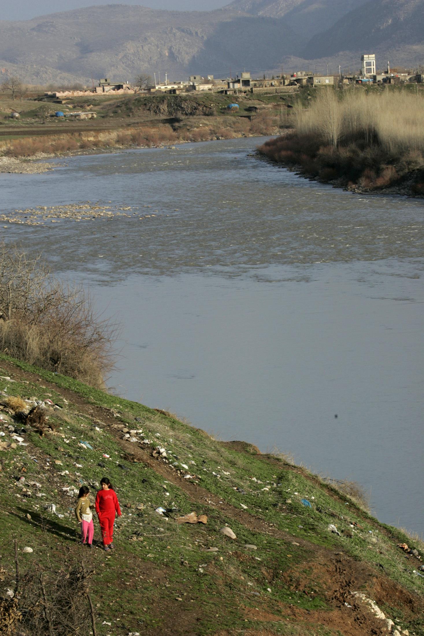 صورة الخبر