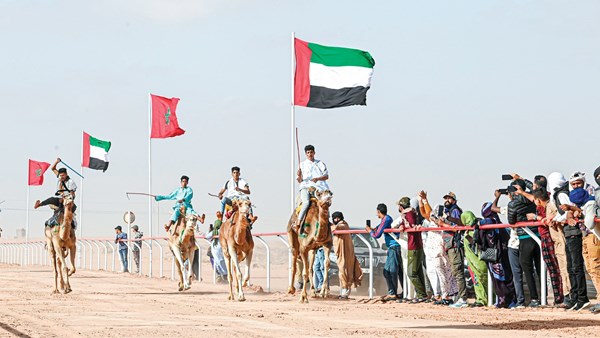 صورة الخبر