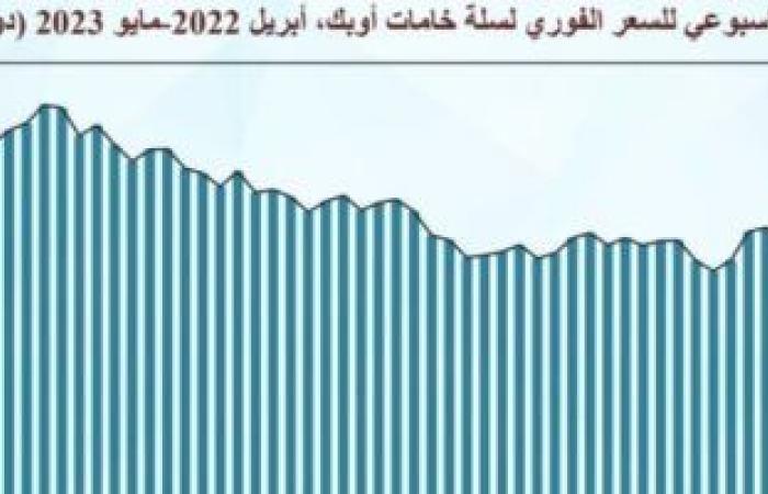 صورة الخبر