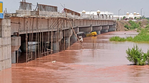 صورة الخبر