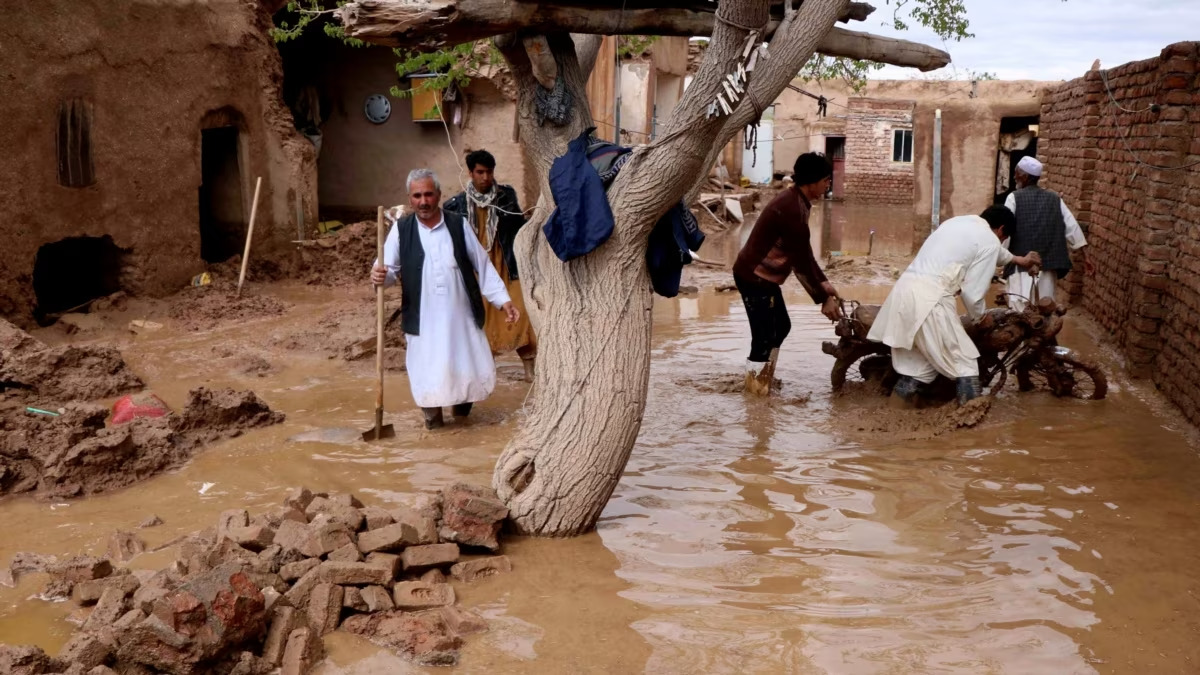 صورة الخبر