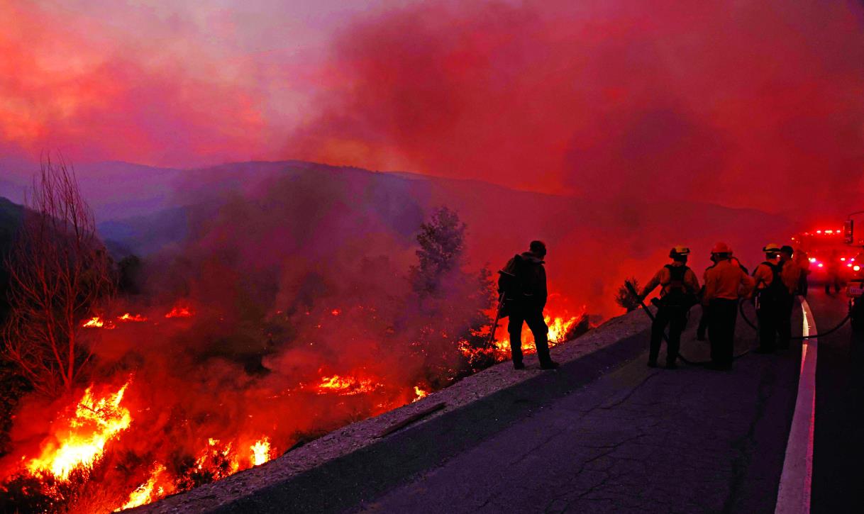 صورة الخبر