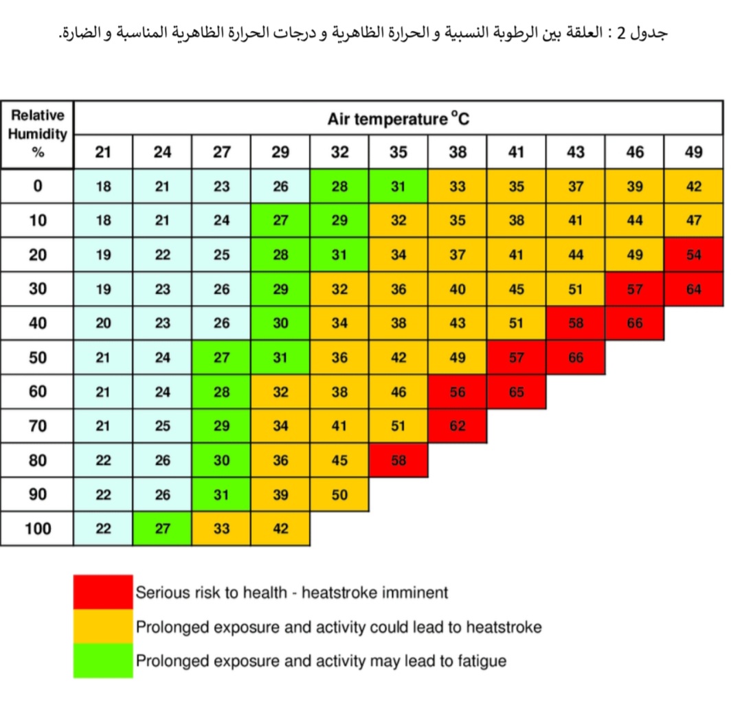 صورة الخبر