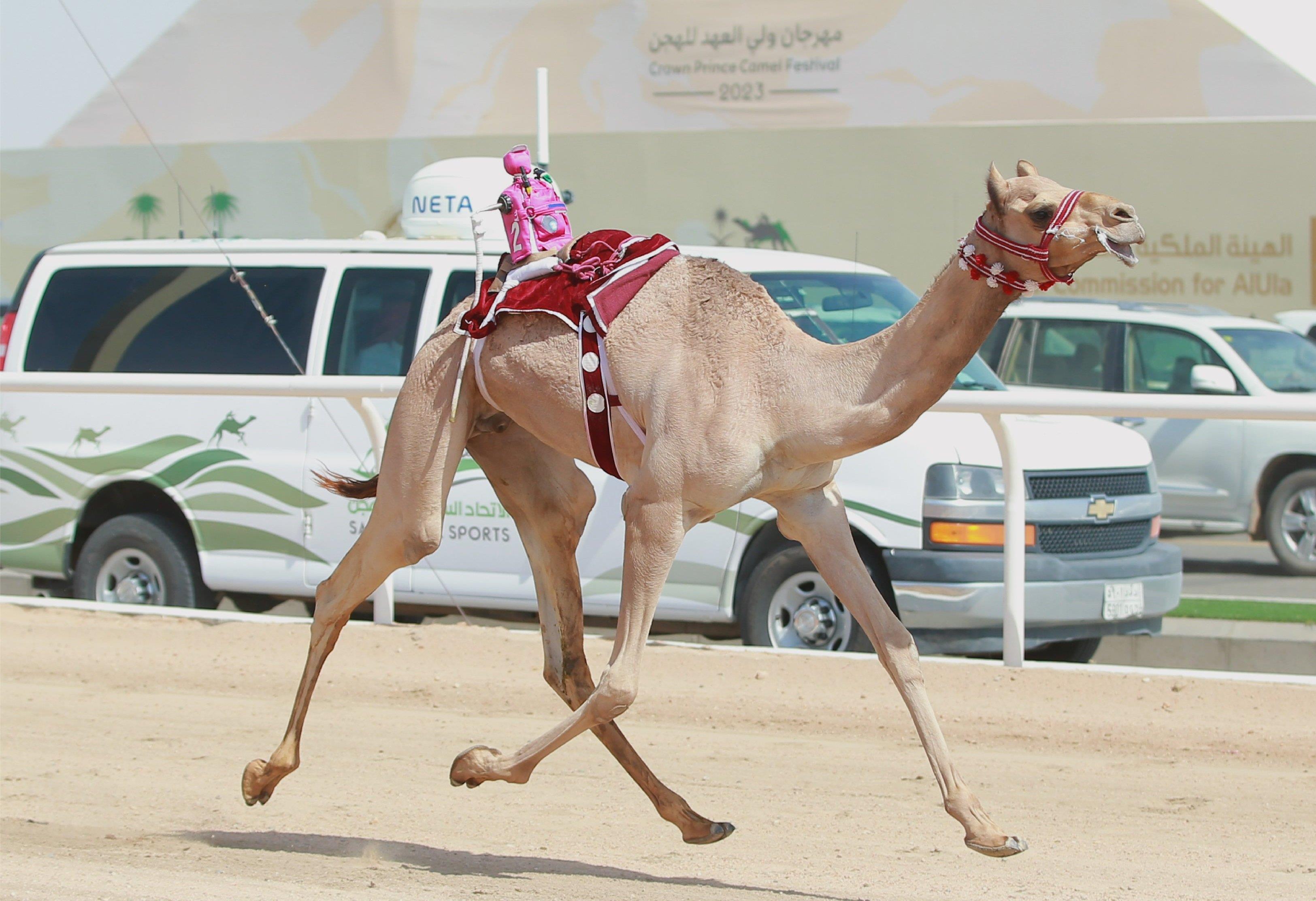 صورة الخبر