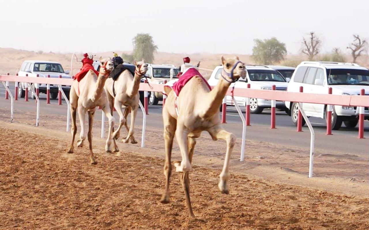 صورة الخبر