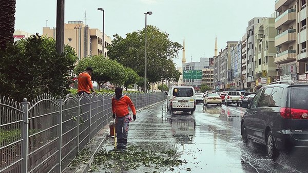 صورة الخبر