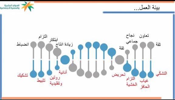 صورة الخبر