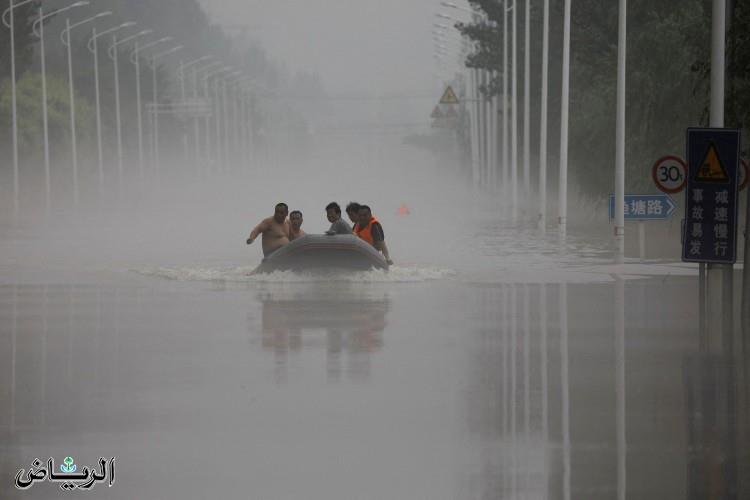 صورة الخبر