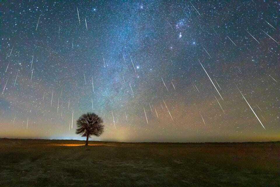 صورة الخبر