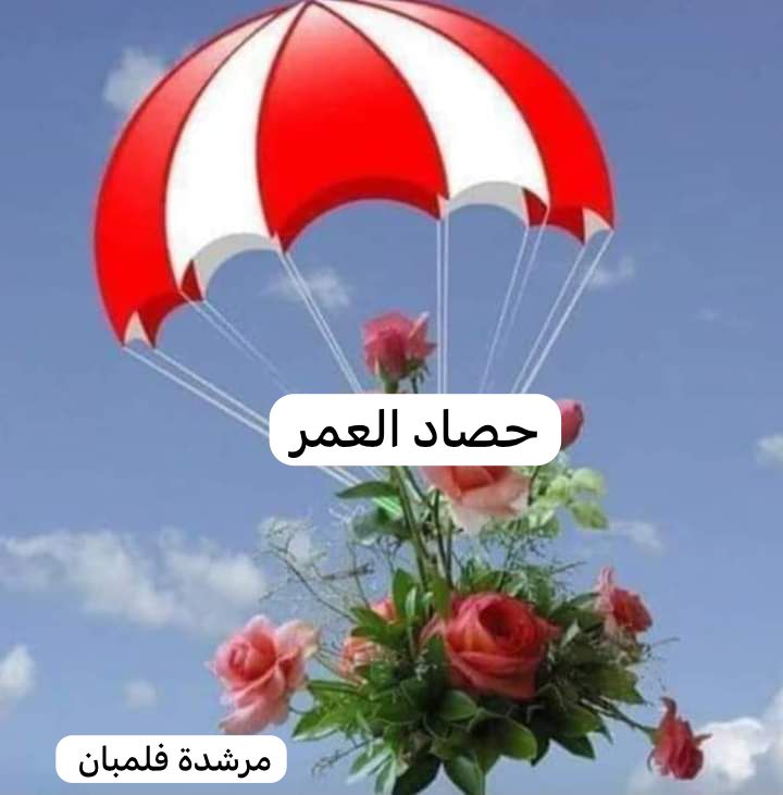 صورة الخبر