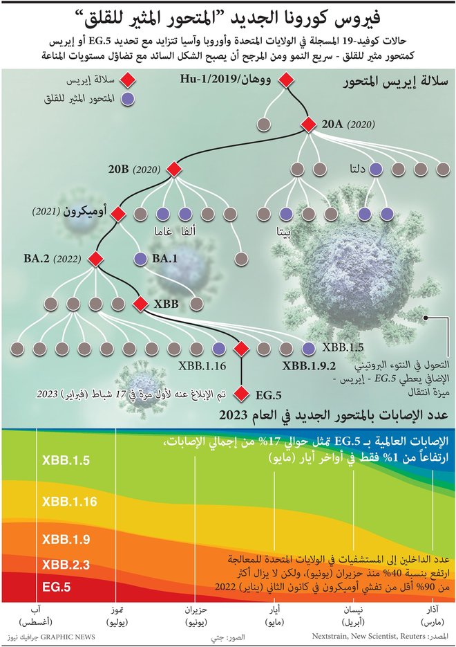 صورة الخبر