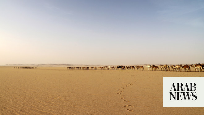 صورة الخبر