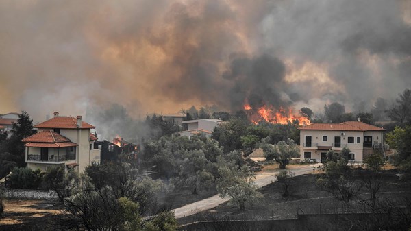 صورة الخبر