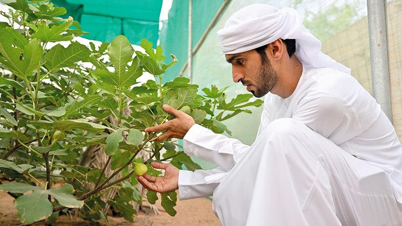 صورة الخبر