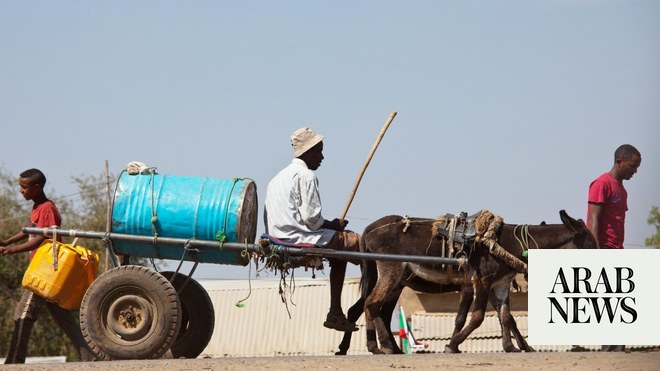 صورة الخبر