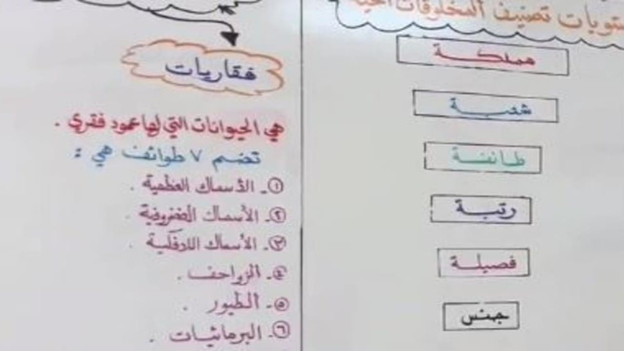 صورة الخبر