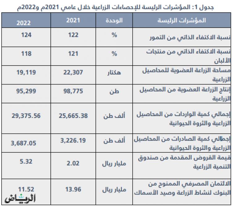 صورة الخبر