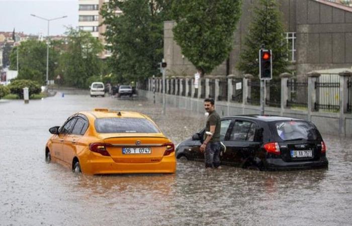 صورة الخبر