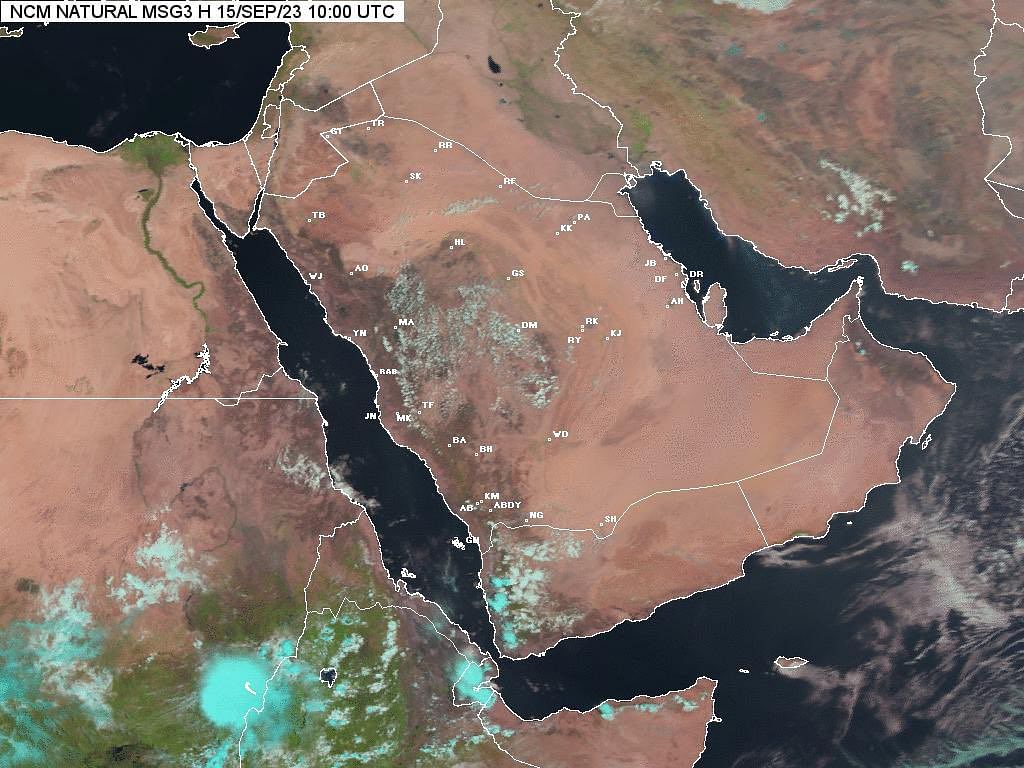 صورة الخبر