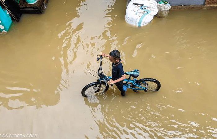 صورة الخبر