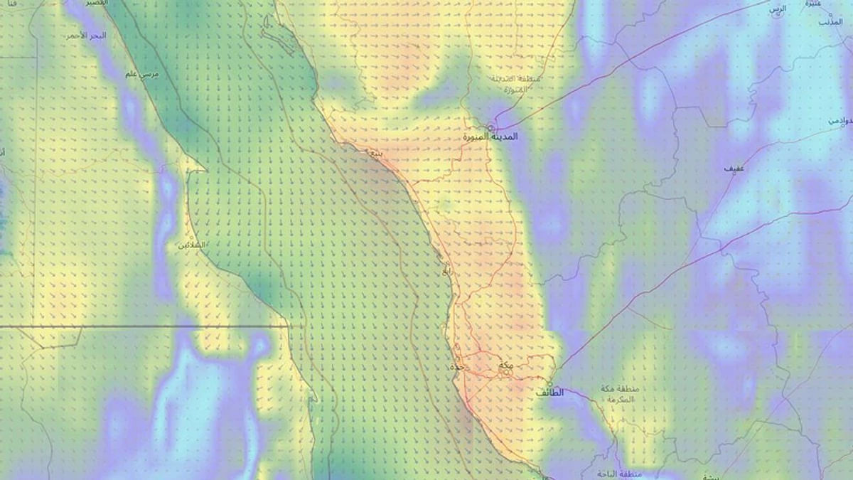 صورة الخبر