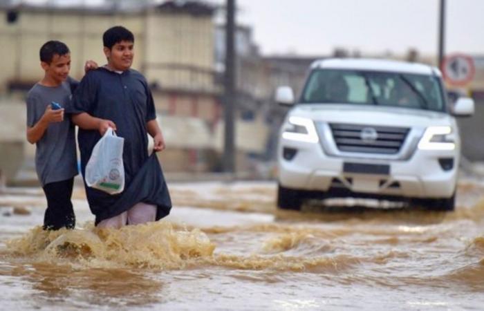 صورة الخبر