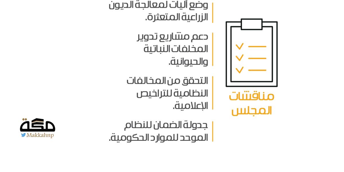 صورة الخبر