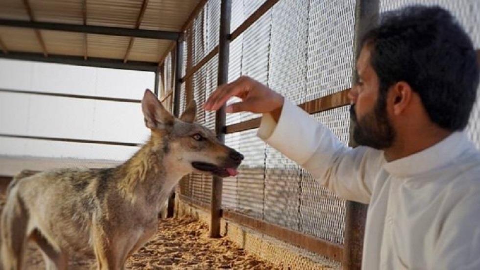 صورة الخبر