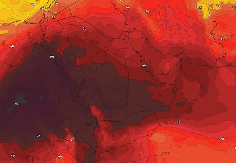 صورة الخبر