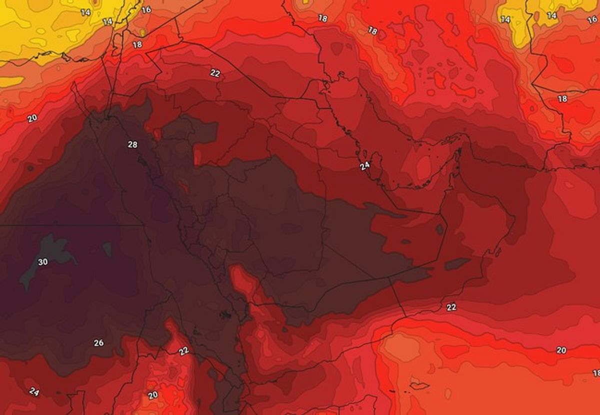 صورة الخبر