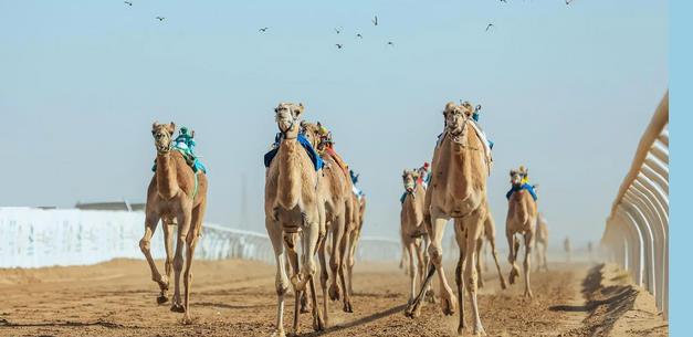 صورة الخبر