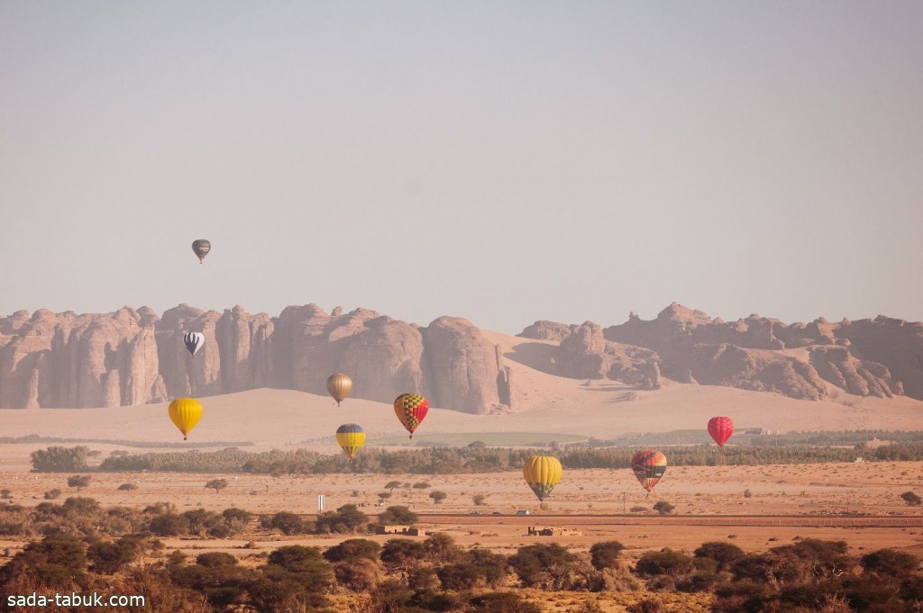 صورة الخبر